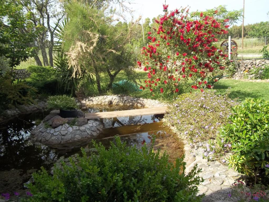 Bed and Breakfast Il Vecchioliveto Di Ornella Marrubiu Номер фото