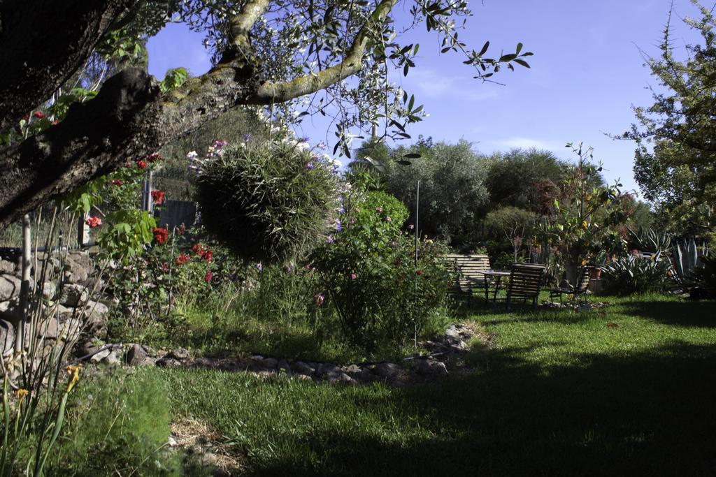 Bed and Breakfast Il Vecchioliveto Di Ornella Marrubiu Экстерьер фото