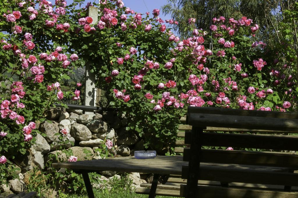 Bed and Breakfast Il Vecchioliveto Di Ornella Marrubiu Экстерьер фото