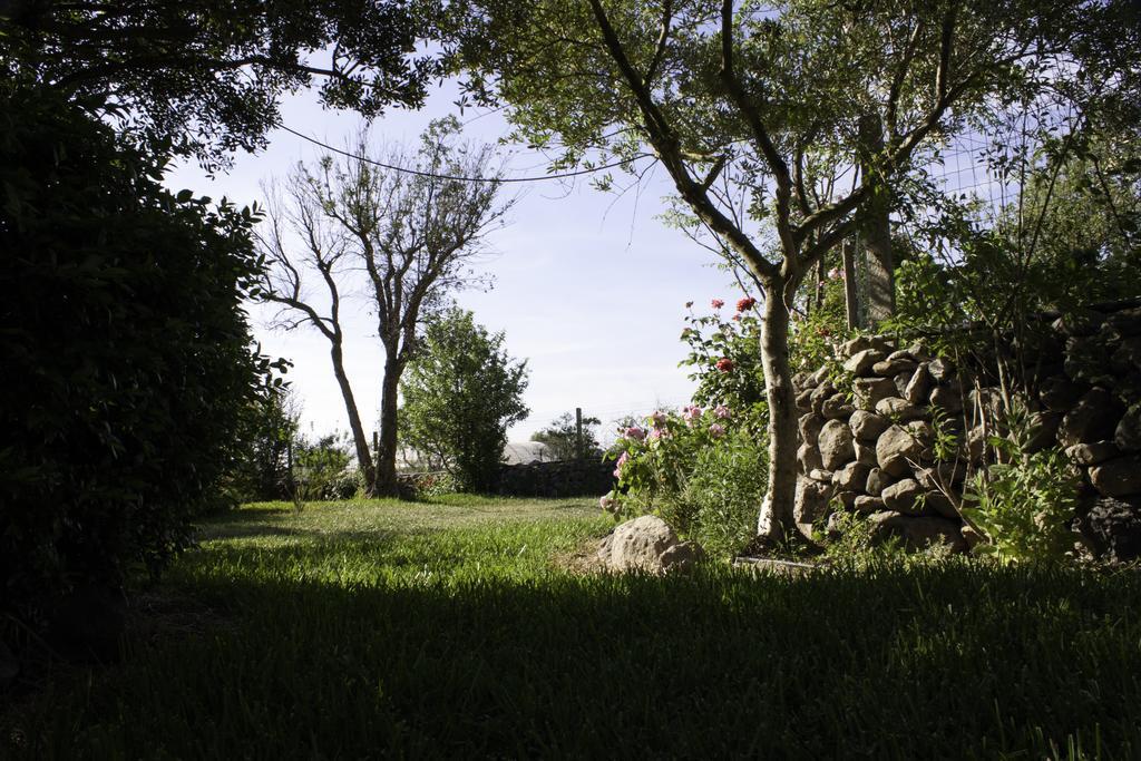 Bed and Breakfast Il Vecchioliveto Di Ornella Marrubiu Экстерьер фото