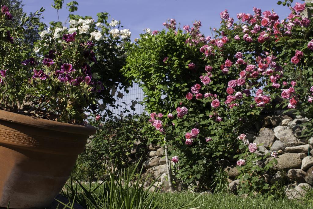 Bed and Breakfast Il Vecchioliveto Di Ornella Marrubiu Экстерьер фото