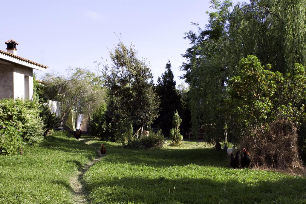 Bed and Breakfast Il Vecchioliveto Di Ornella Marrubiu Экстерьер фото