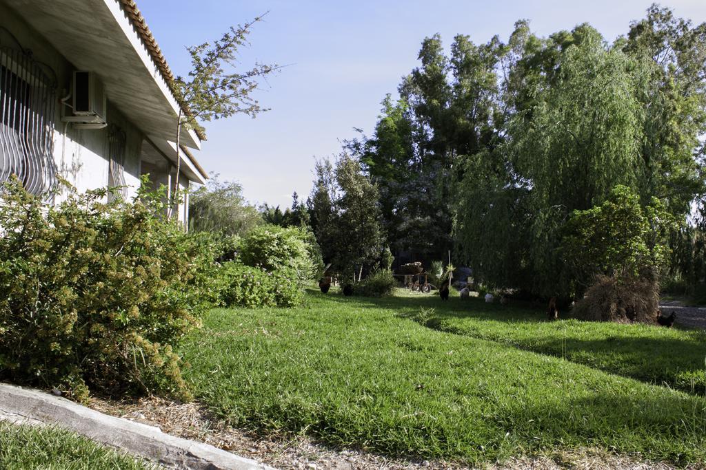 Bed and Breakfast Il Vecchioliveto Di Ornella Marrubiu Экстерьер фото