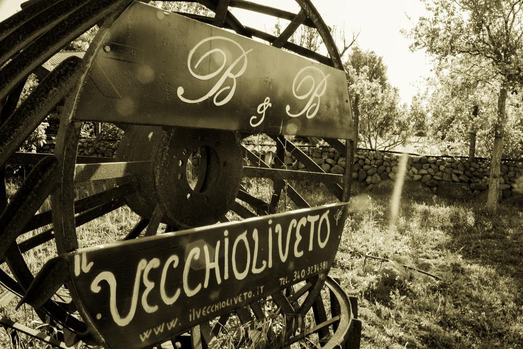 Bed and Breakfast Il Vecchioliveto Di Ornella Marrubiu Экстерьер фото