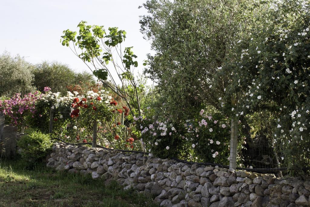 Bed and Breakfast Il Vecchioliveto Di Ornella Marrubiu Экстерьер фото