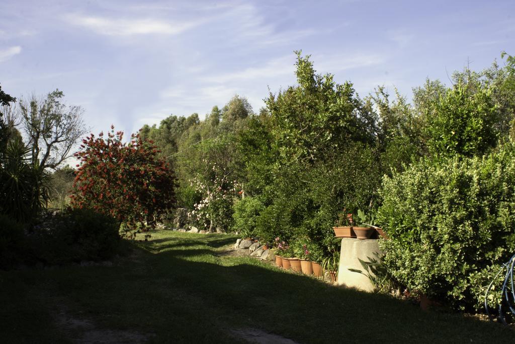 Bed and Breakfast Il Vecchioliveto Di Ornella Marrubiu Экстерьер фото
