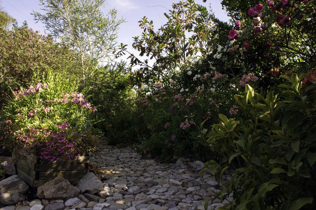 Bed and Breakfast Il Vecchioliveto Di Ornella Marrubiu Экстерьер фото